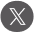 x icon