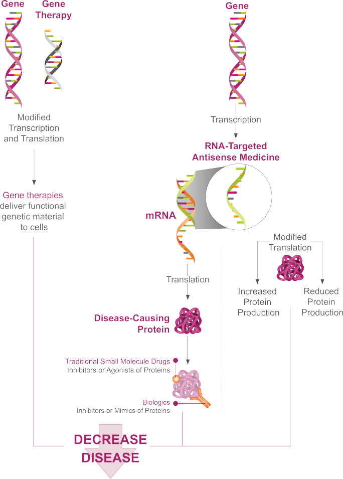 How RNA-targeted medicines alter gene expression upstream of protein production